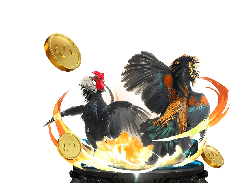 Trải nghiệm đá gà chân thực 5tekmira